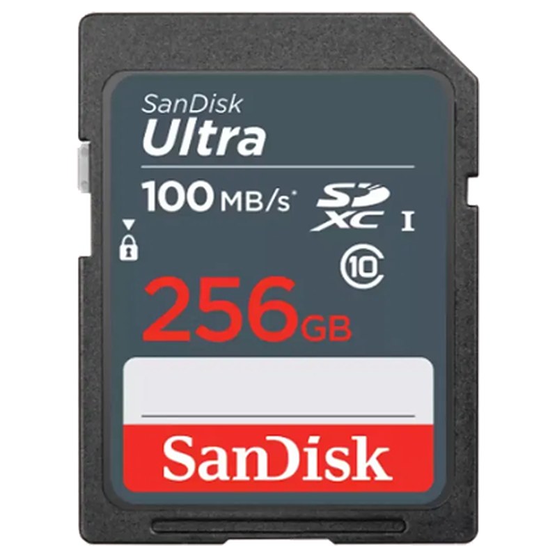 SD 메모리카드 256GB 제품 사진